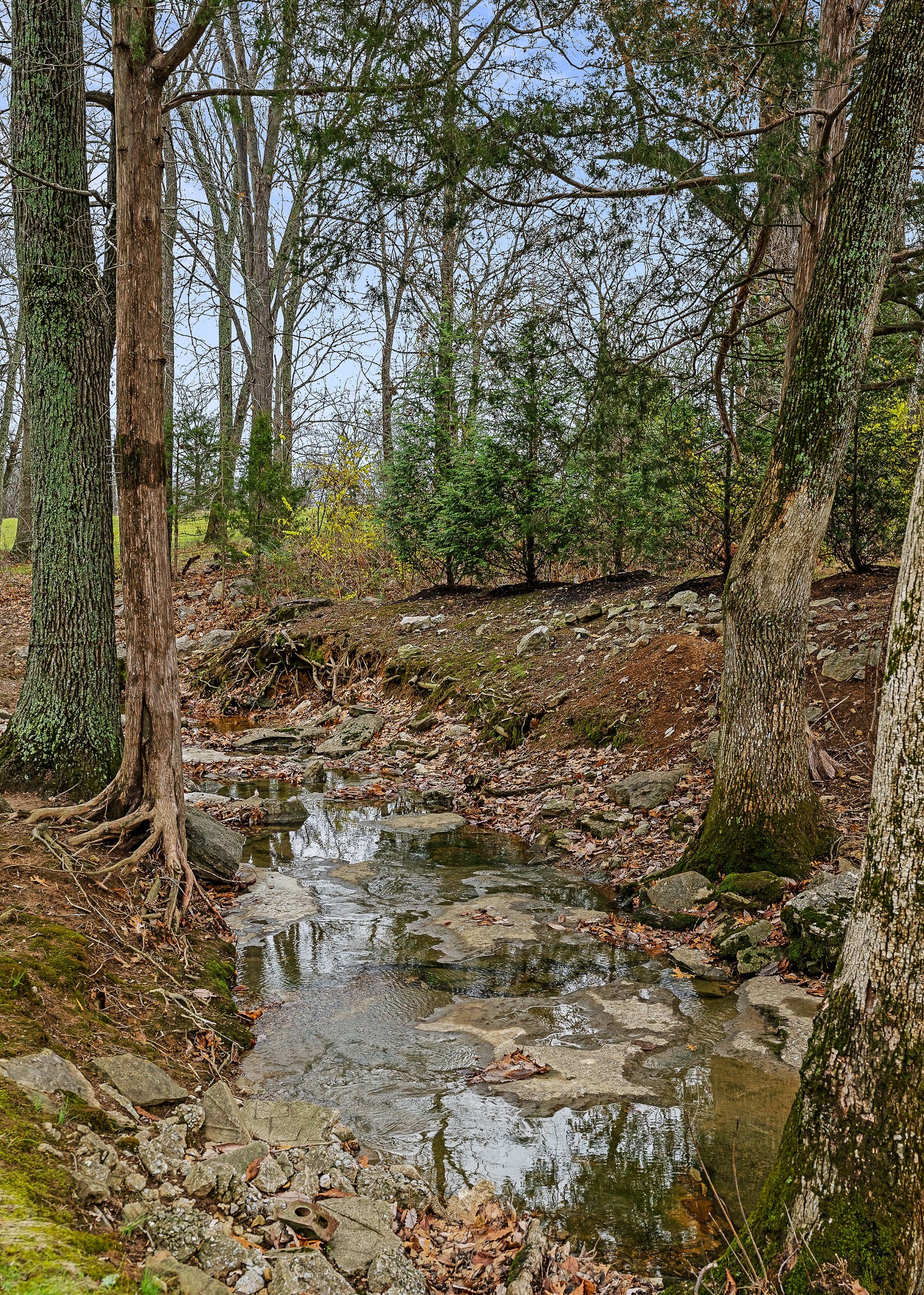 608 Ridgecrest Lane Lebanon, TN 37087 - Photo 53 of 69 Gallery Image 53