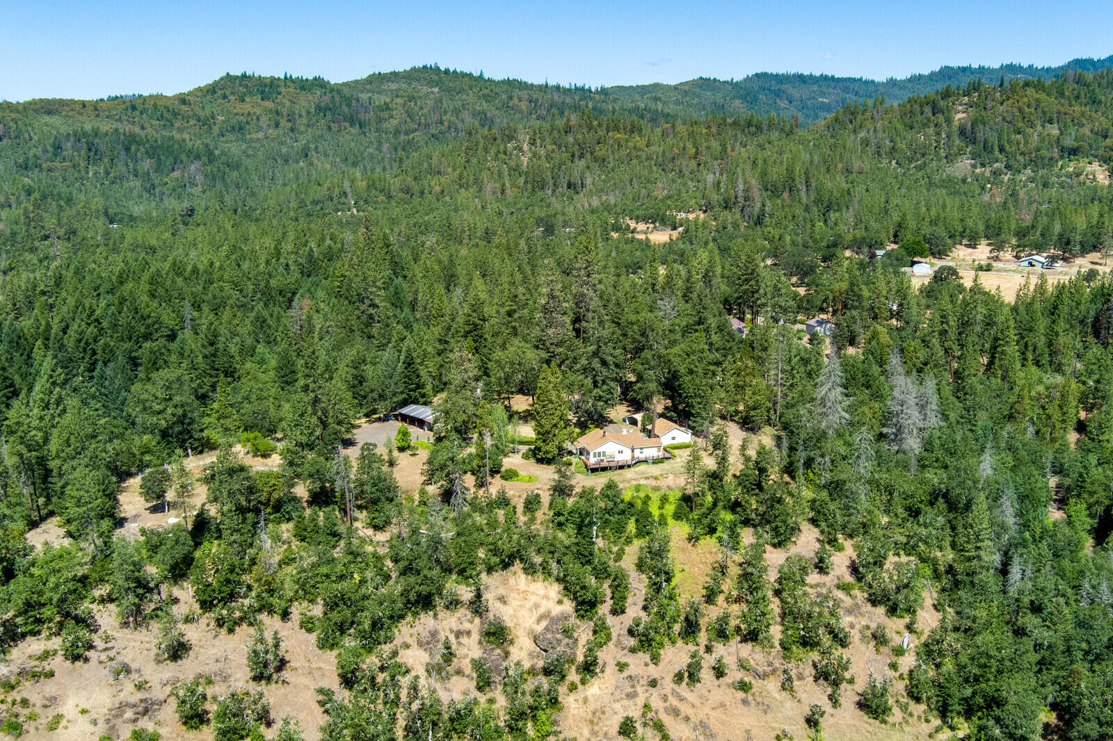 46 Busch Road Trail, OR 97541 - Photo 23 of 55 a view of a lush green forest with a mountain