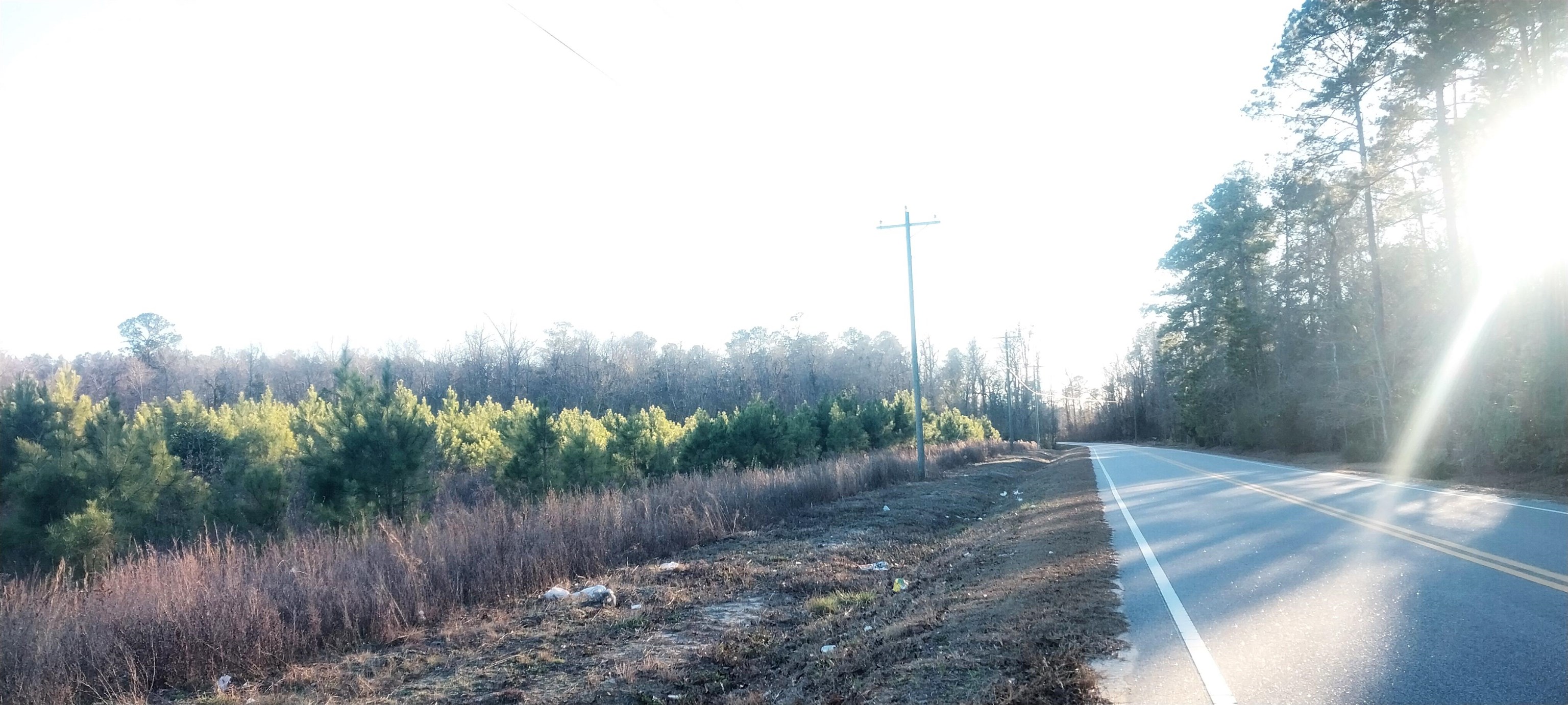 Lot 14 Mw Stroud Road Nichols, SC 29581 - Photo 2 of 3