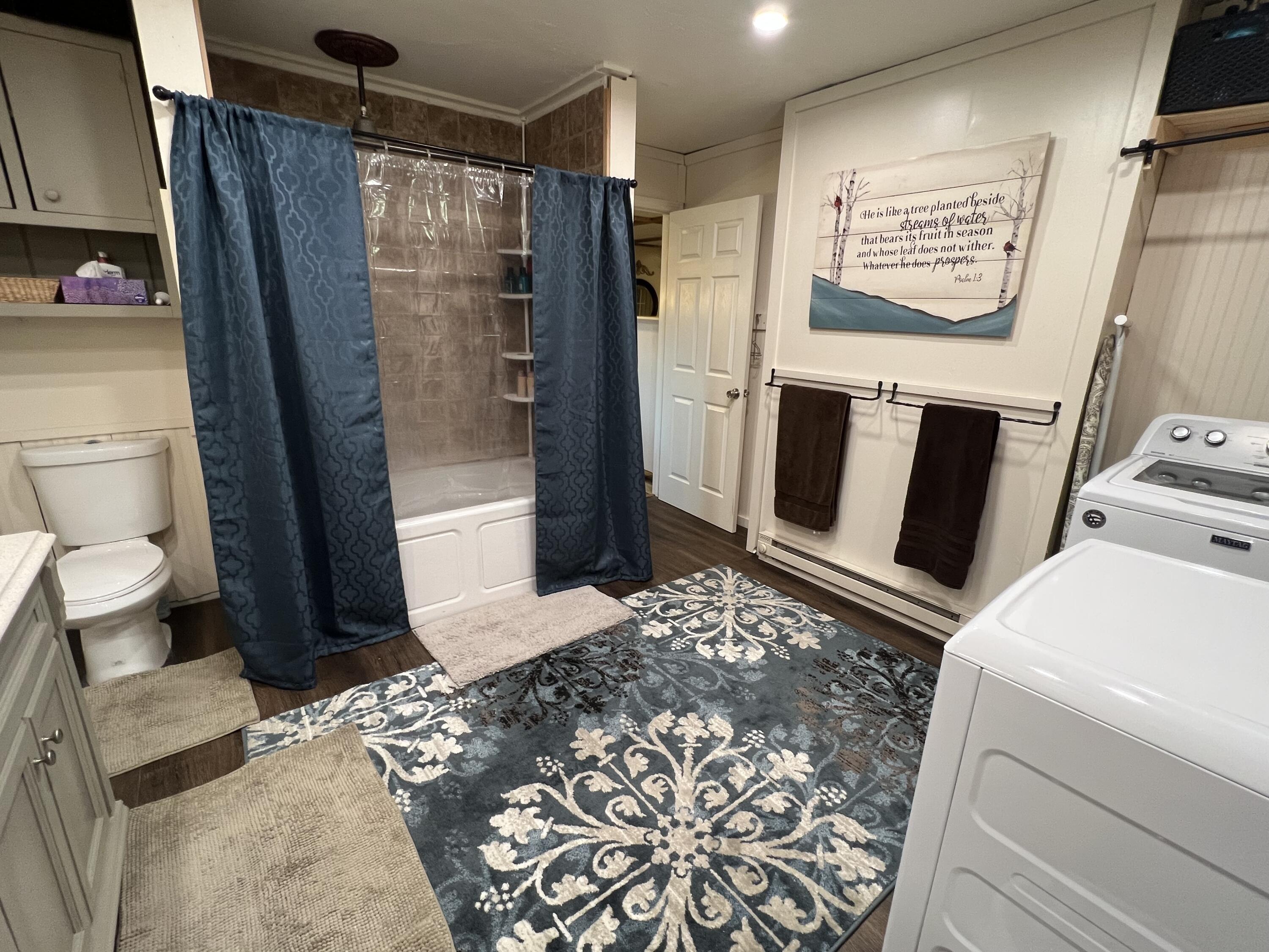 105 Webbs Mills Road Casco, ME 04015 - Photo 33 of 70 IMG_3887