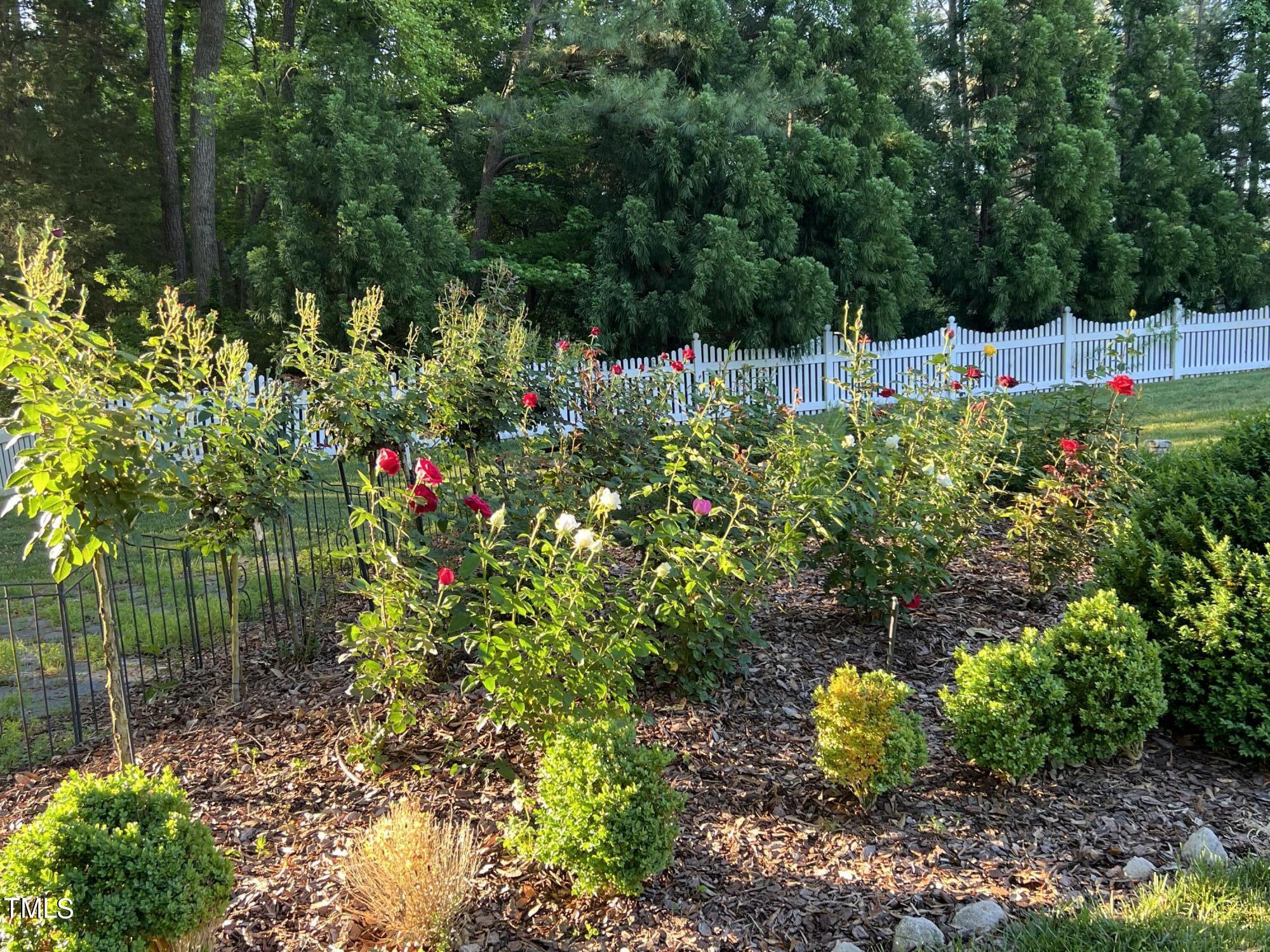 1936 Amethyst Ridge Road Raleigh, NC 27604 - Photo 57 of 74 a green field covered with trees