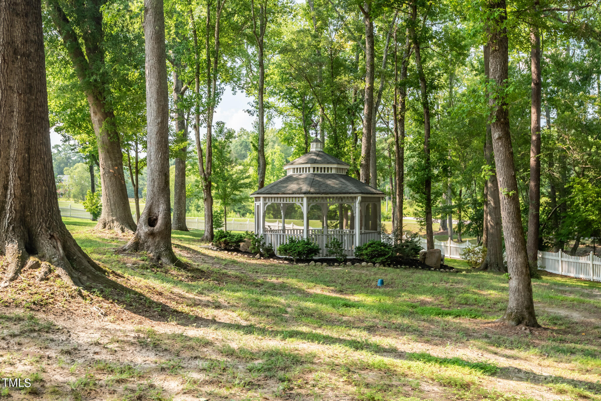 1936 Amethyst Ridge Road Raleigh, NC 27604 - Photo 6 of 74 Side Lawn