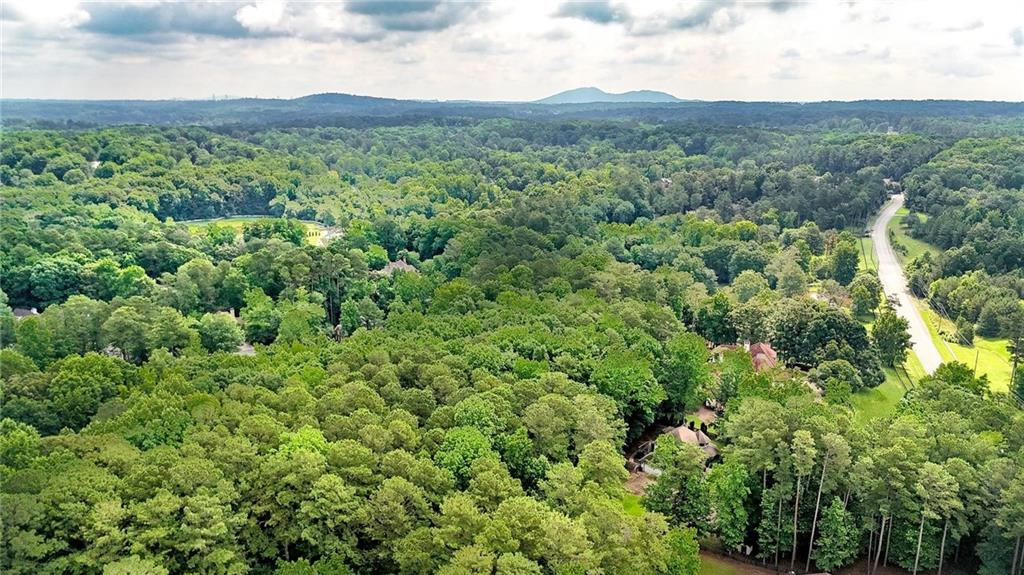 4650 Burnt Hickory Road Northwest Marietta, GA 30064 - Photo 48 of 74
