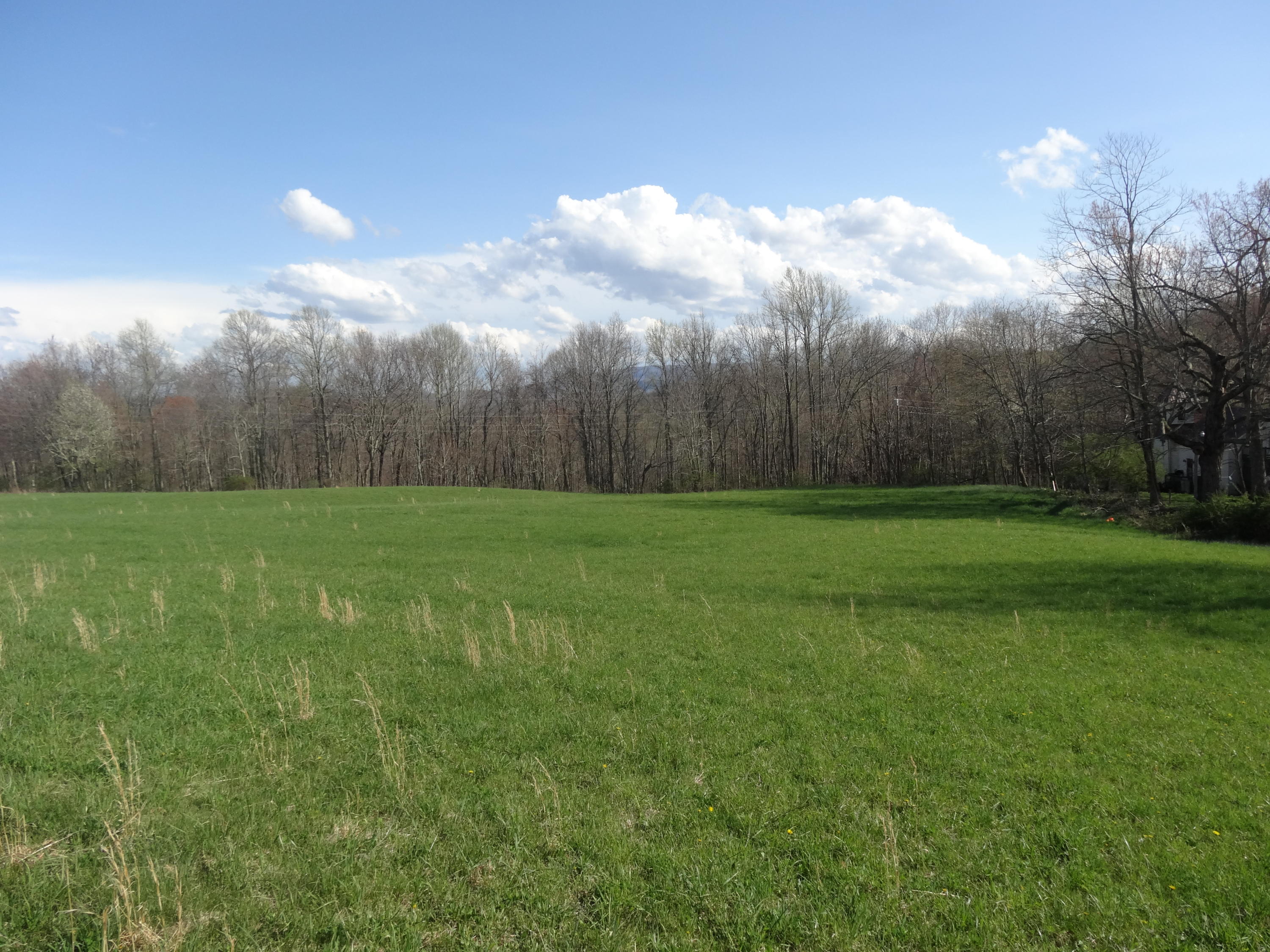 Brown School Road Rainelle, WV 25962 - Photo 13 of 17 Gallery Image 13