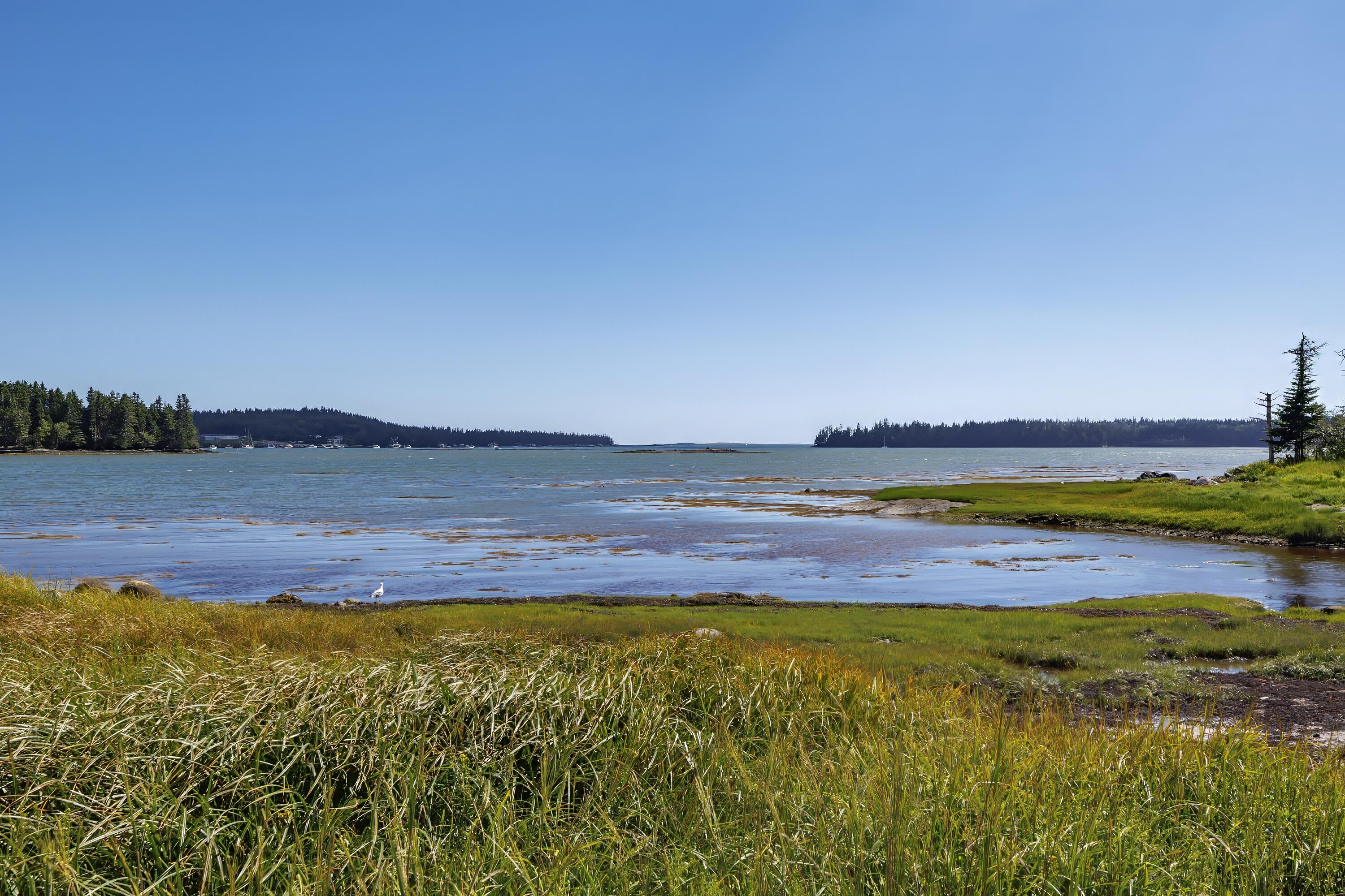 175 Nash Lane Addison, ME 04606 - Photo 11 of 83 09 - 175 Nash Lane HiRes - DTP