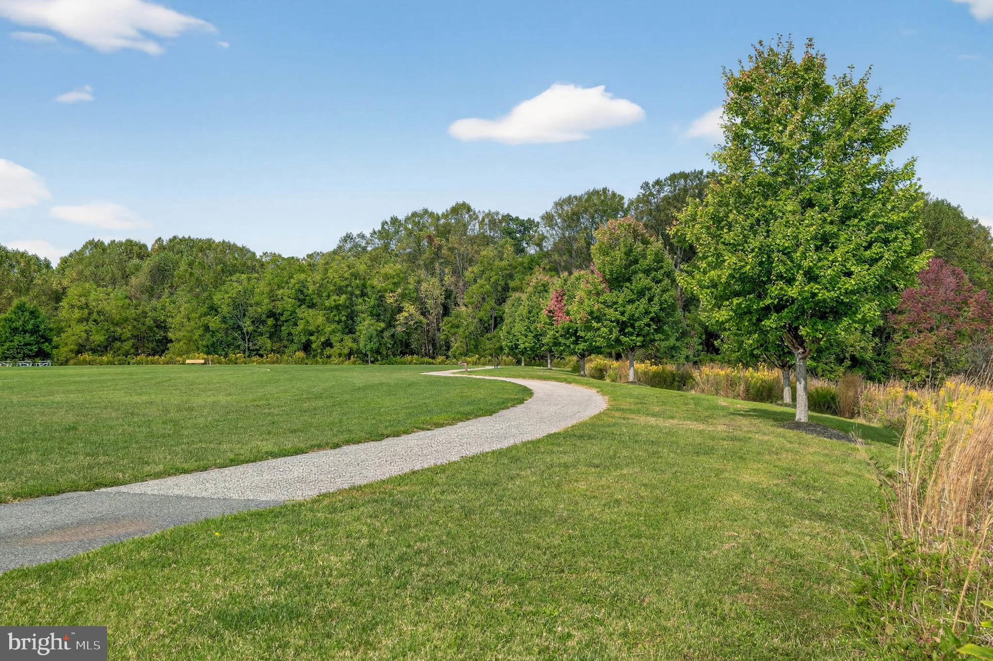 7033 Mink Hollow Road Highland, MD 20777 - Photo 76 of 79