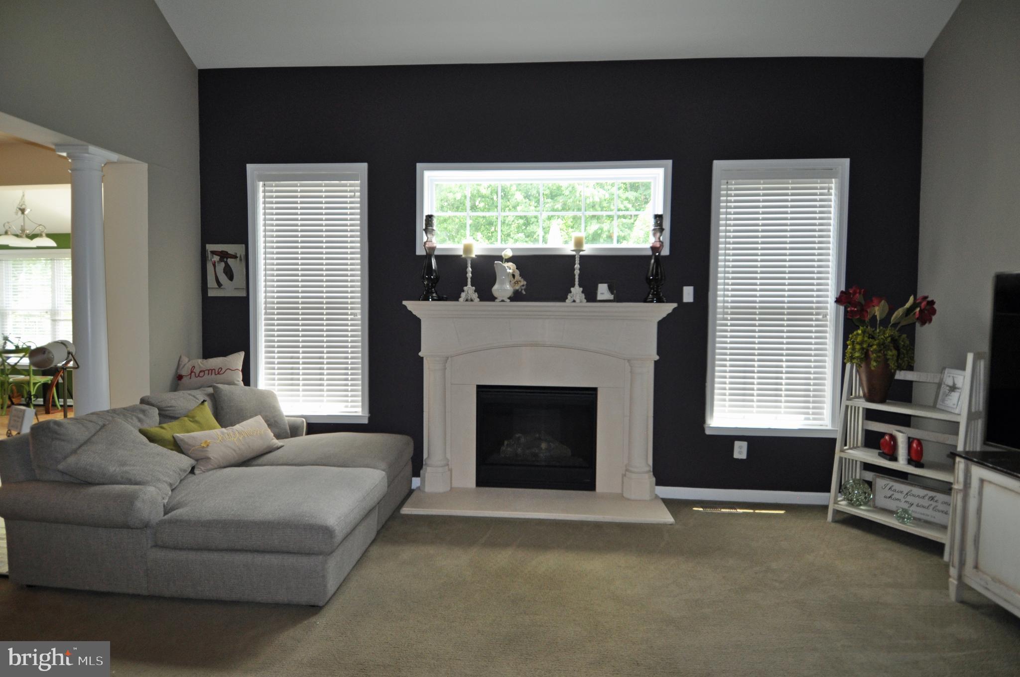 4002 Bridle Ridge Road Upper Marlboro, MD 20772 - Photo 15 of 38 Family Room_Biltmore Fireplace