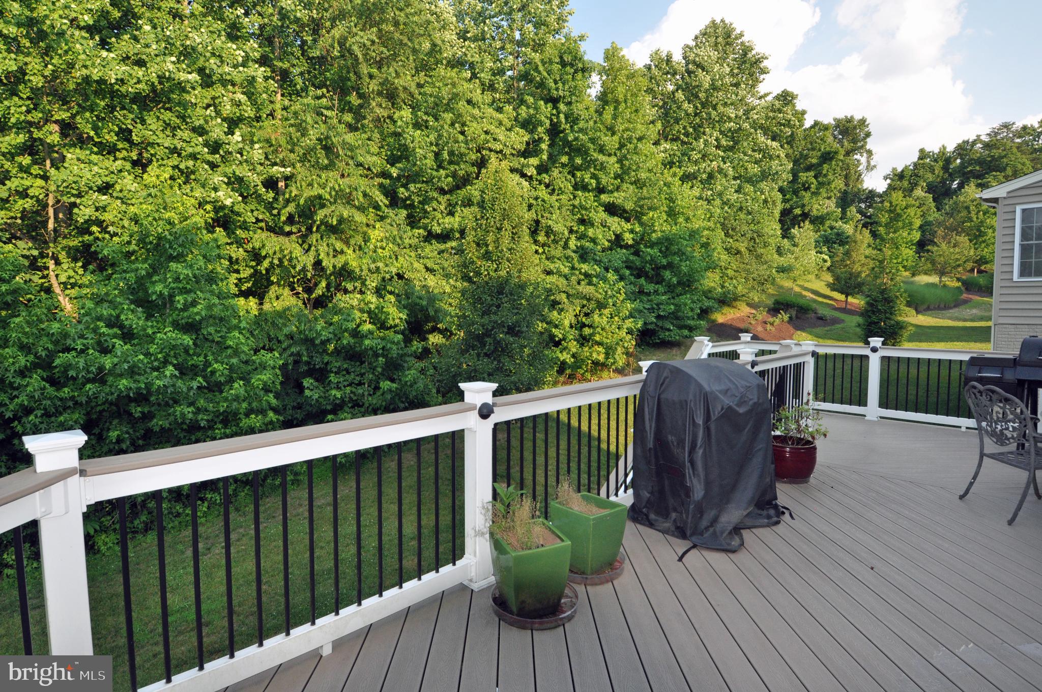 4002 Bridle Ridge Road Upper Marlboro, MD 20772 - Photo 4 of 38 Deck_view 1