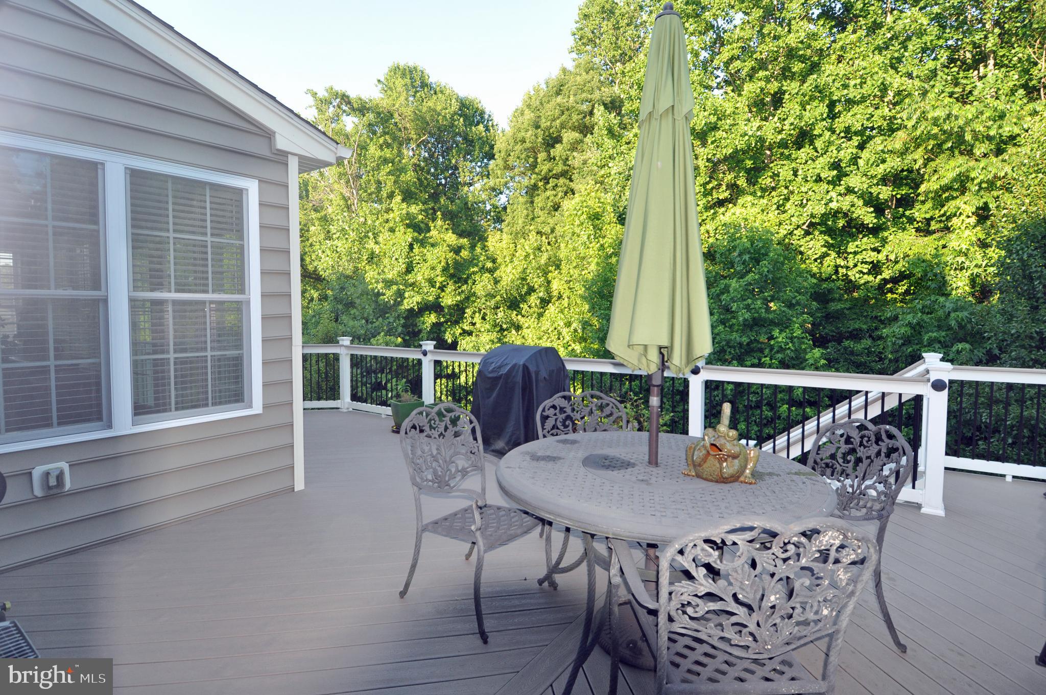 4002 Bridle Ridge Road Upper Marlboro, MD 20772 - Photo 6 of 38 Deck_view 3