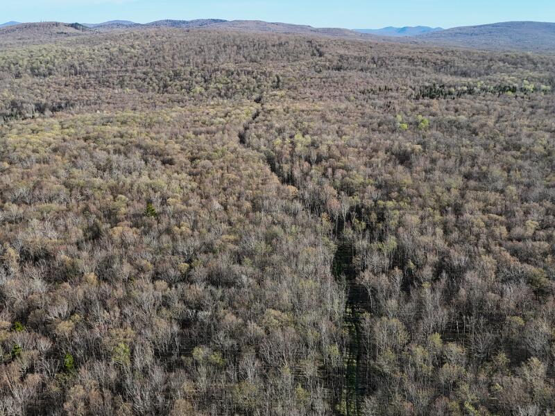 0 Blair Kiln Road Chateaugay, NY 12920 - Photo 8 of 21 Gallery Image 8