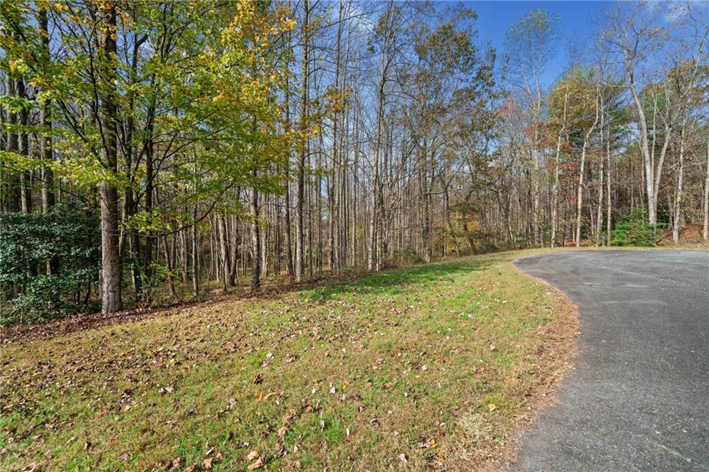 14 Highpoint Ridge Ellijay, GA 30536 - Photo 8 of 24 Gallery Image 8