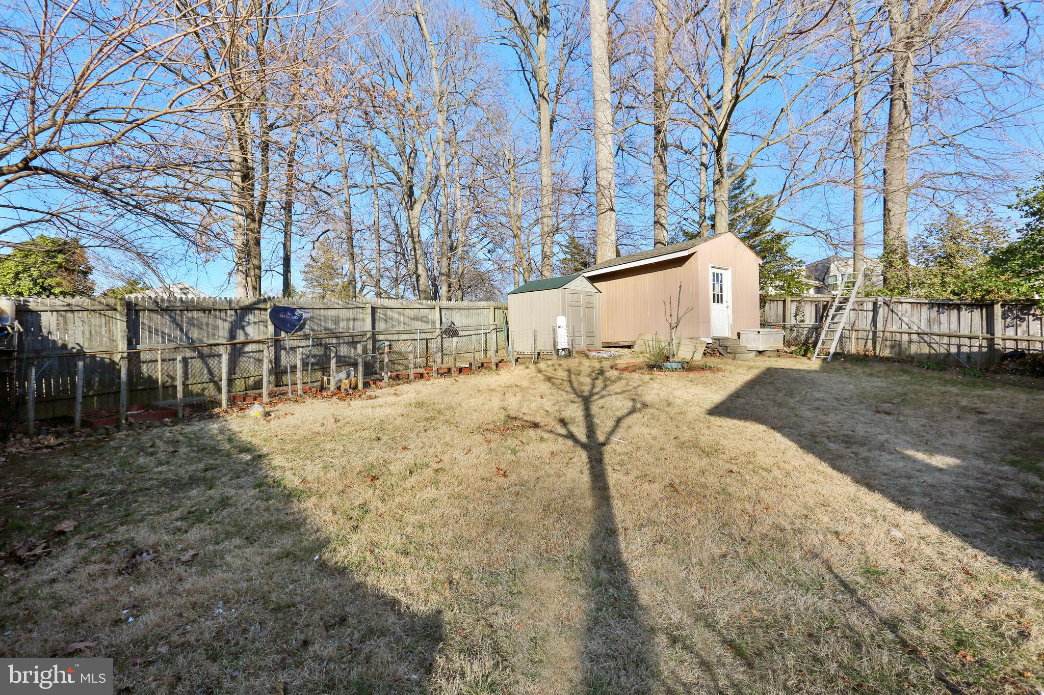 3405 May Street Silver Spring, MD 20906 - Photo 4 of 18