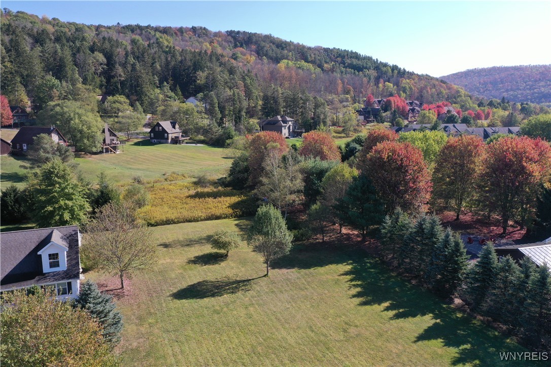 6546 Maples Road Ellicottville, NY 14731 - Photo 2 of 11