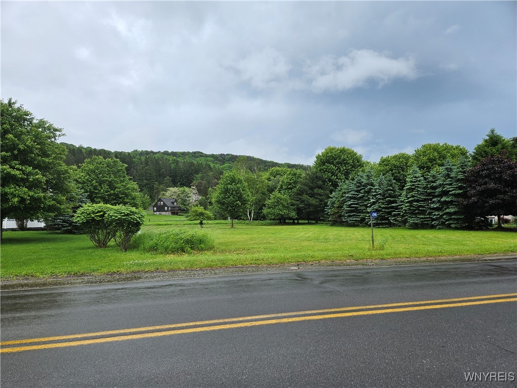 6546 Maples Road Ellicottville, NY 14731 - Photo 5 of 11