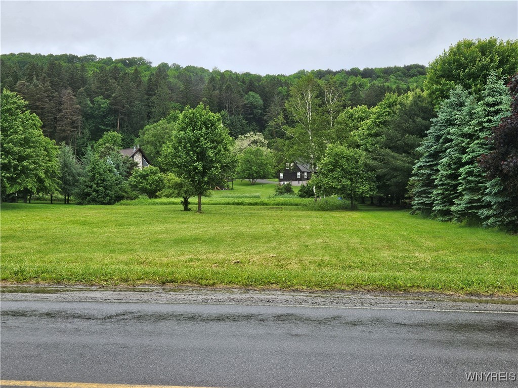 6546 Maples Road Ellicottville, NY 14731 - Photo 8 of 11