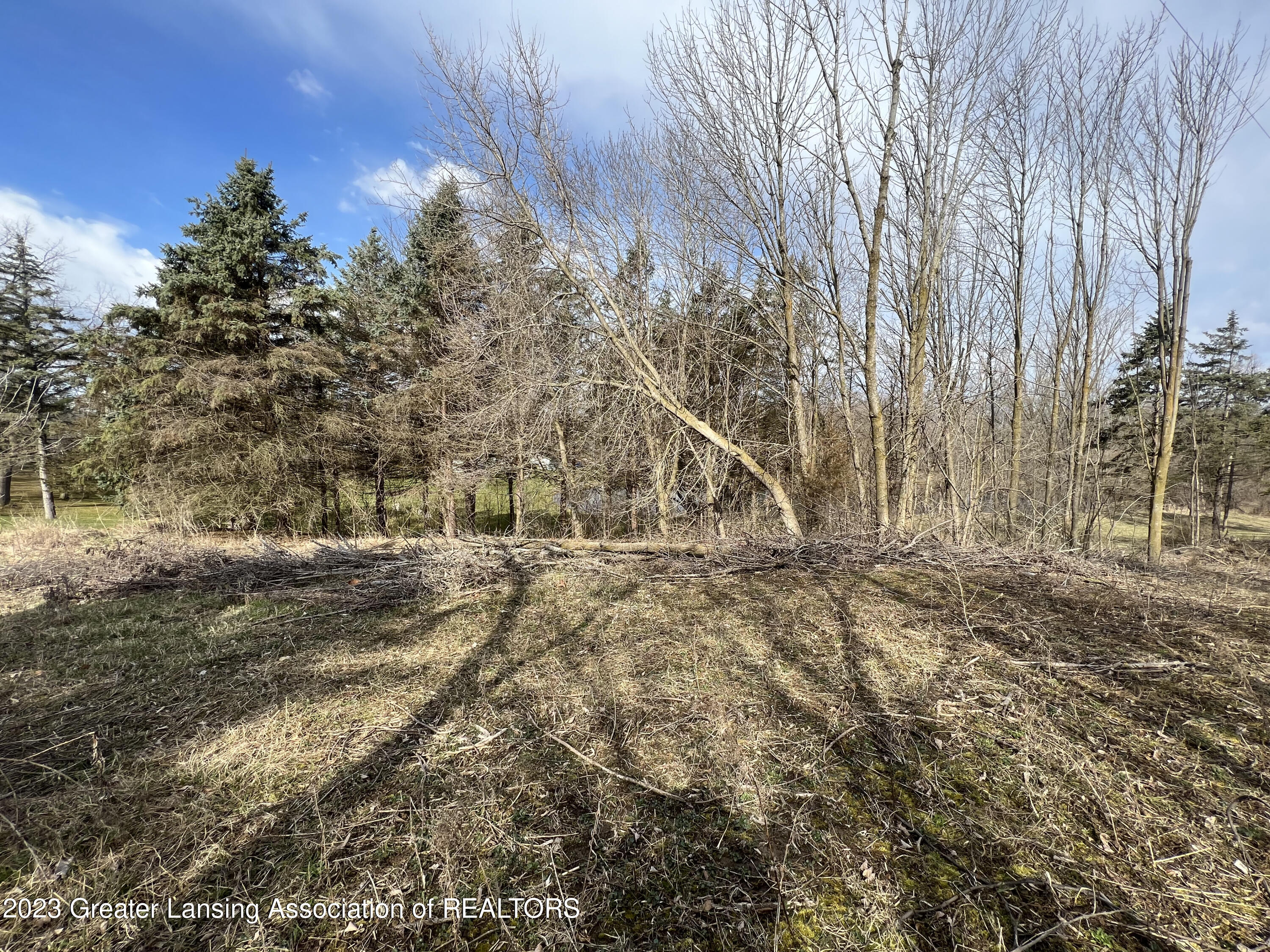 0 Clintonia Road Portland, MI 48875 - Photo 1 of 19 IMG_8108