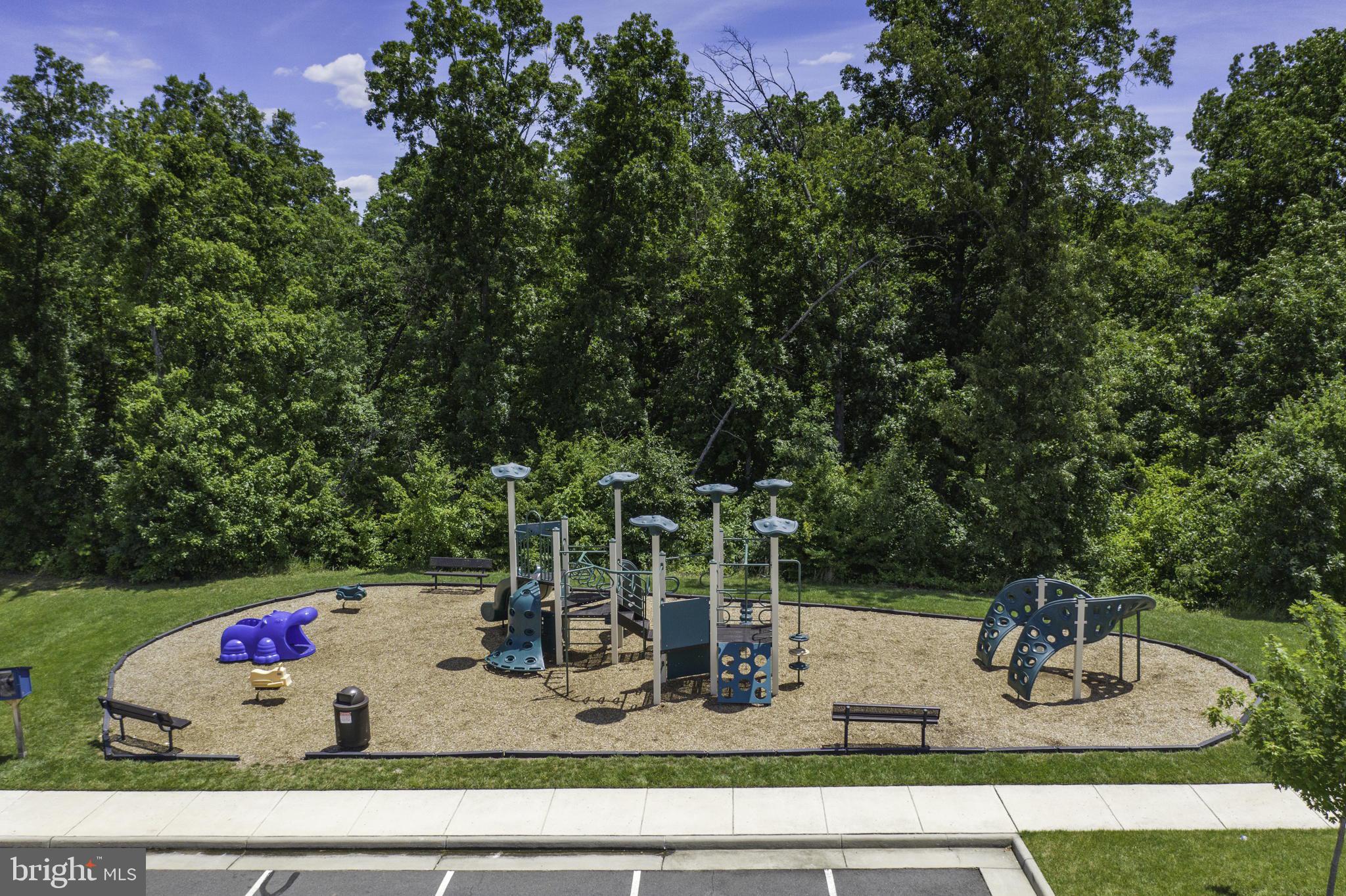 41904 Quickstep Place Aldie, VA 20105 - Photo 61 of 62