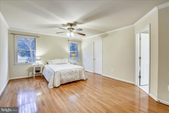 35 Old Solomons Island Road Lothian, MD 20711 - Photo 7 of 43 Addition's large main level bedroom