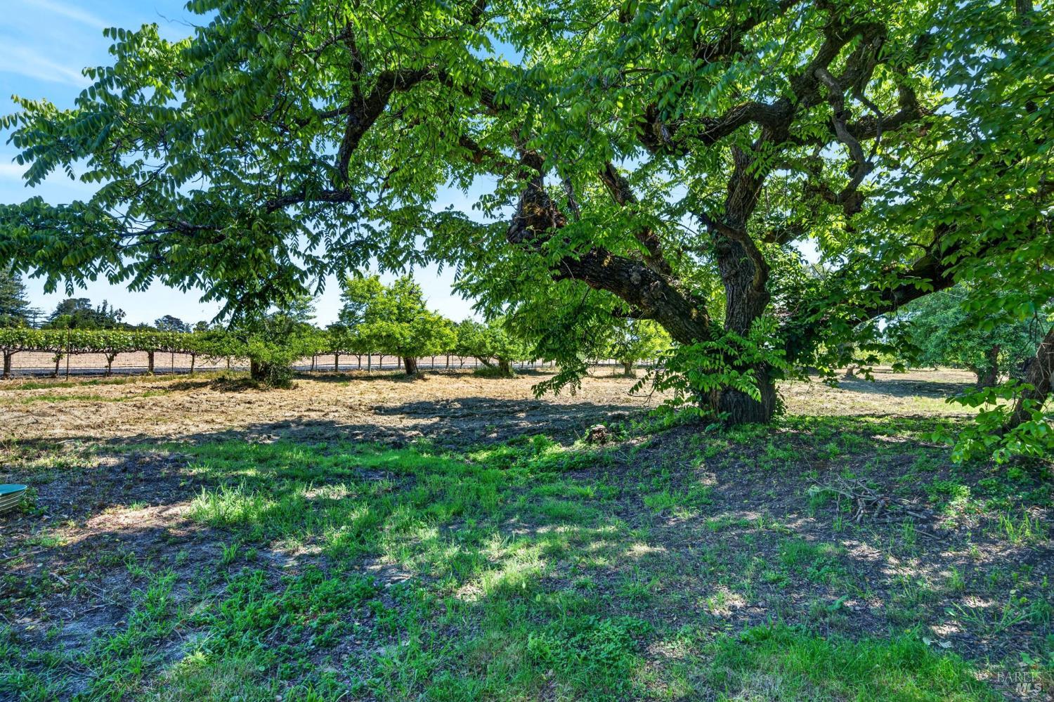 2062 Laguna Road Santa Rosa, CA 95401 - Photo 49 of 80