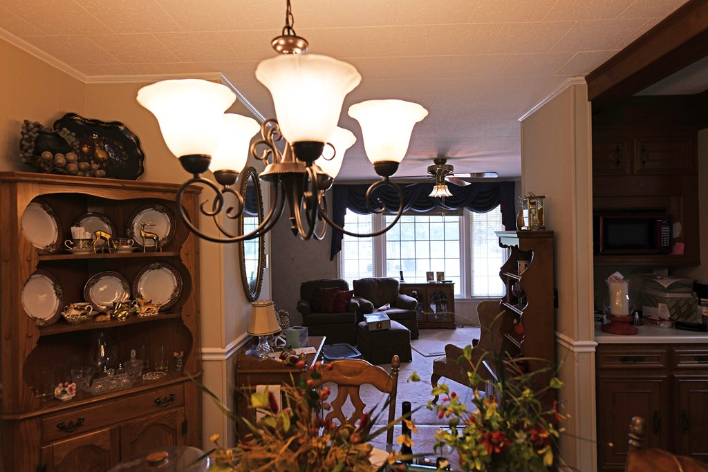 437 Trinity Road Saluda, SC 29138 - Photo 9 of 23