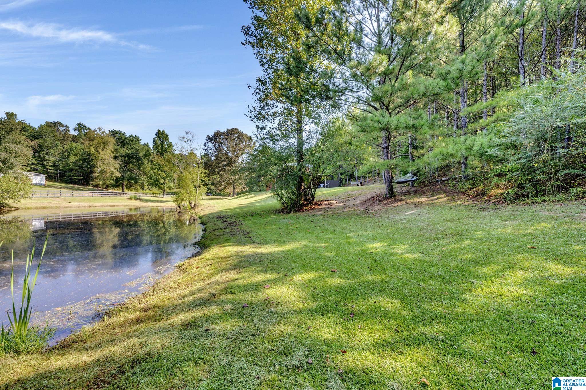 1120 Mt Moriah Road Pell City, AL 35125 - Photo 42 of 49