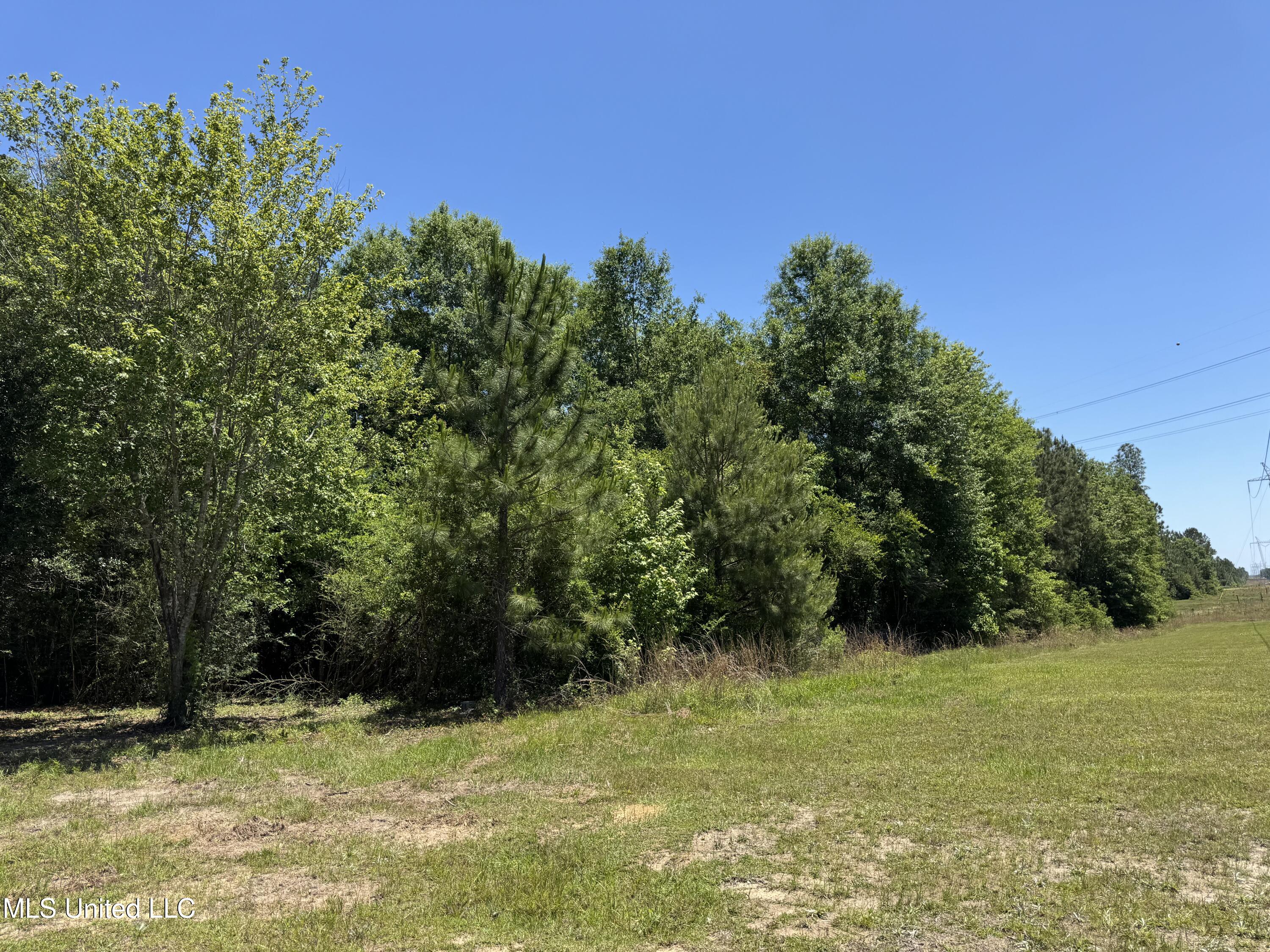 20090 Nells Road Saucier, MS 39574 - Photo 3 of 10 IMG_4826