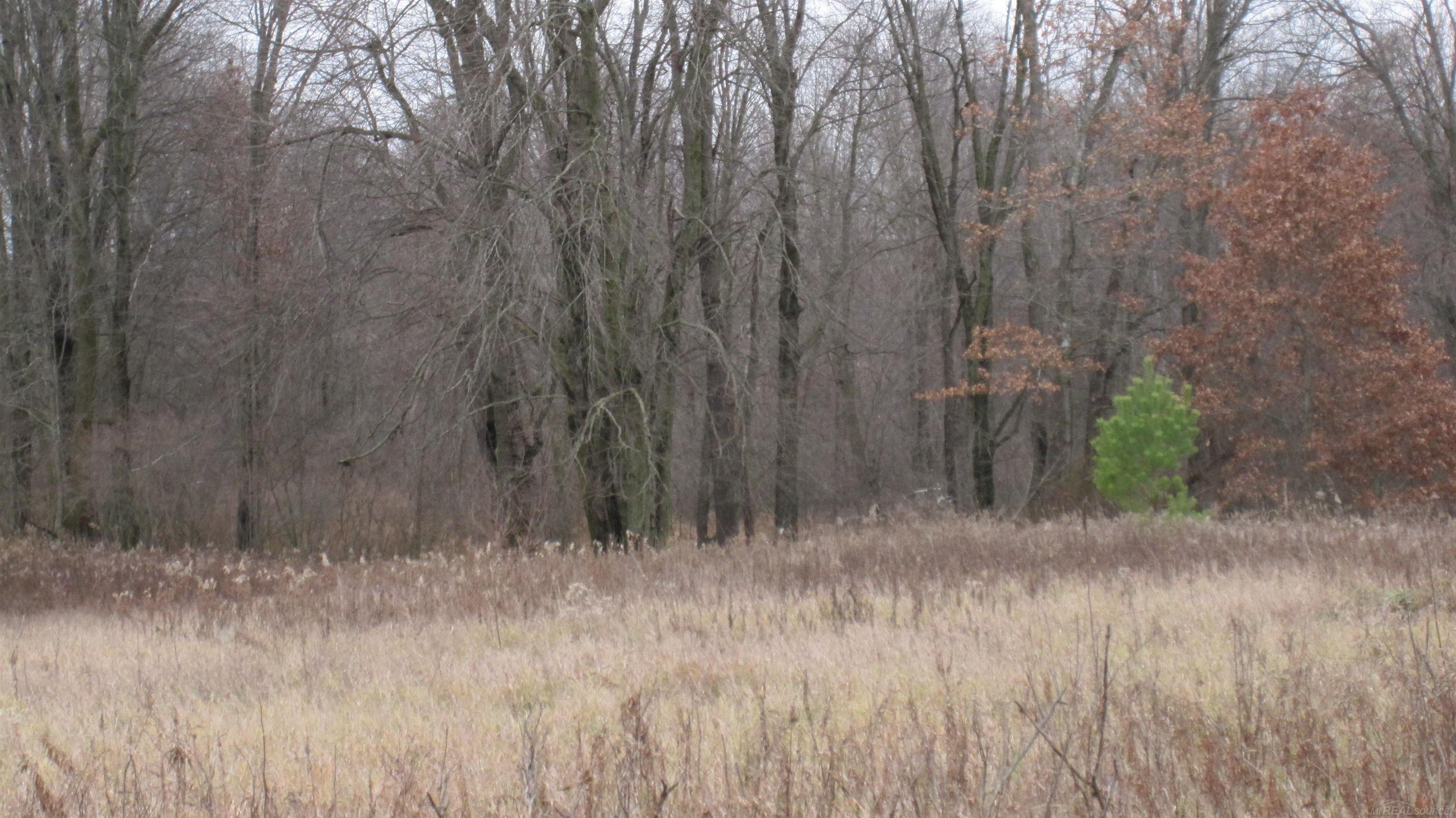 0 Oak Grove Road North Branch, MI 48461 - Photo 12 of 16