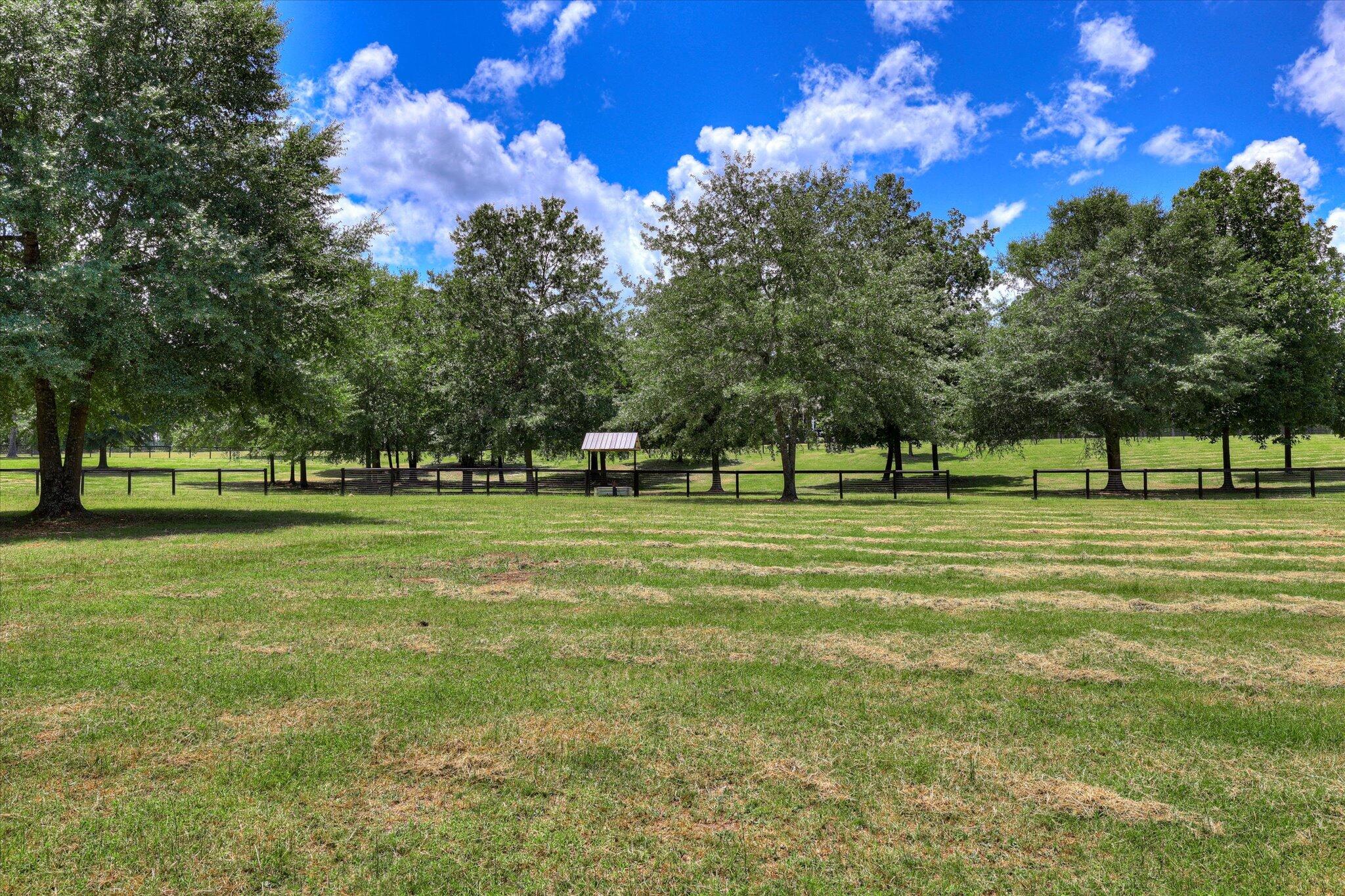 209 Fairwind Road Windsor, SC 29856 - Photo 76 of 106 Gallery Image 76