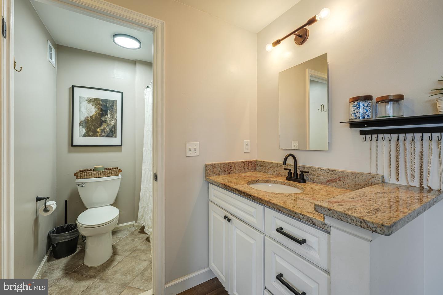 1124 Floyd Place Herndon, VA 20170 - Photo 21 of 39 Primary bath