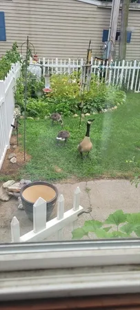 $99,900 | 19 Abbey Lane, Taunton, MA 02780