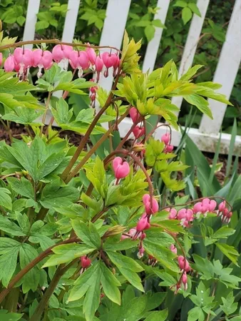 $99,900 | 19 Abbey Lane, Taunton, MA 02780