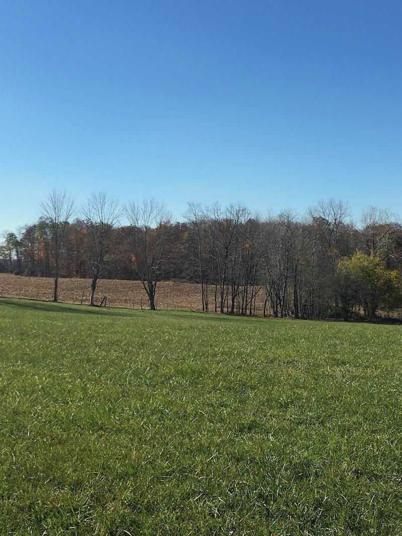 0 Ridge Road Urbana, OH 43078 - Photo 29 of 54
