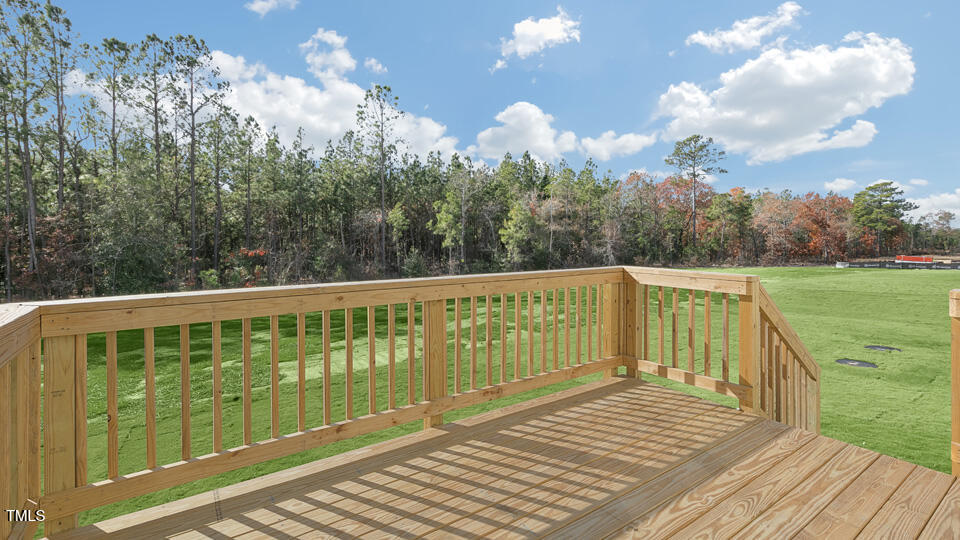 163 Fair Child Road Spring Lake, NC 28390 - Photo 36 of 41 Exterior Deck