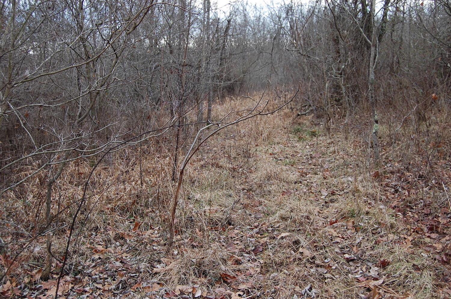 2998 Bobo Road Beaver, OH 45613 - Photo 12 of 43