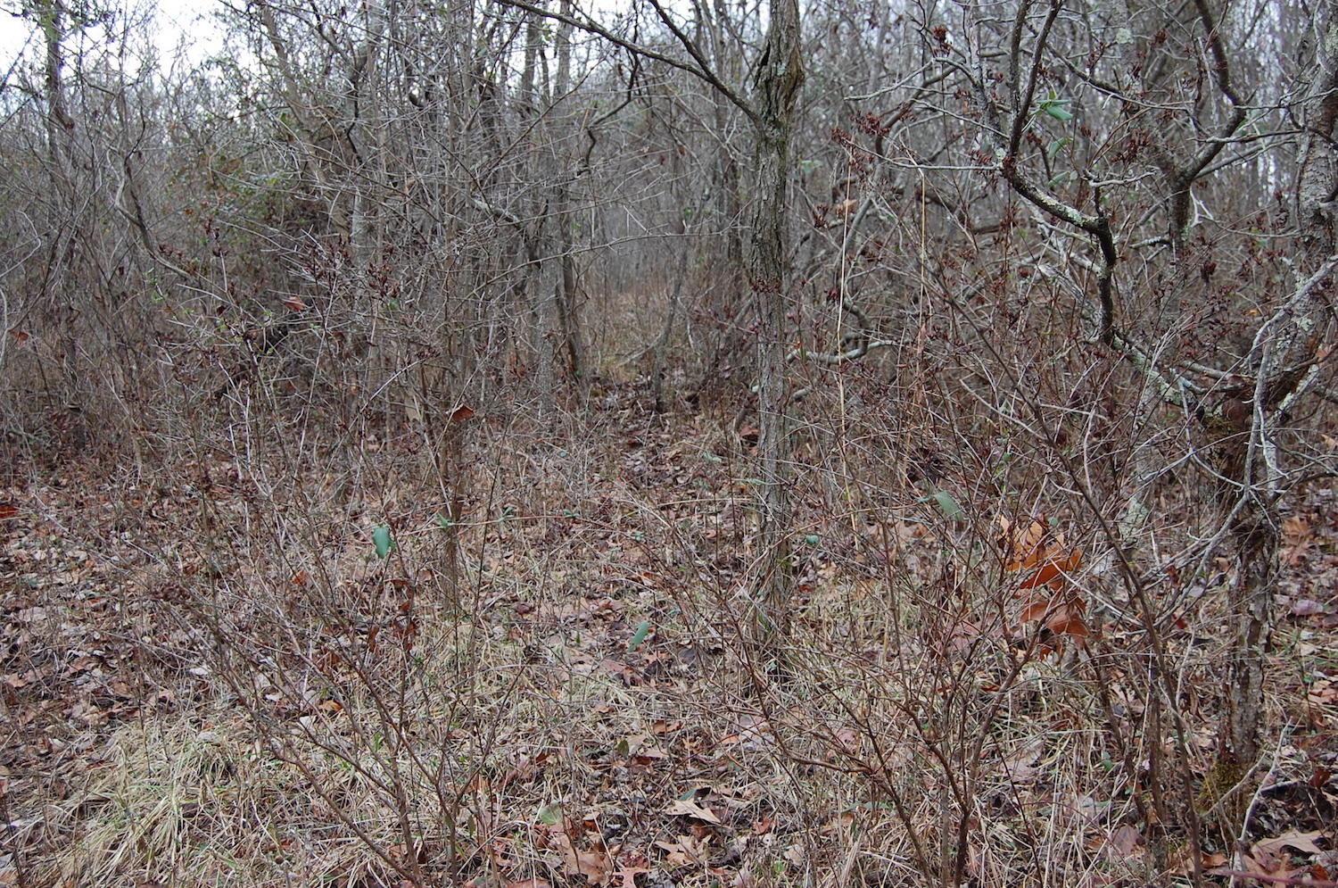 2998 Bobo Road Beaver, OH 45613 - Photo 13 of 43