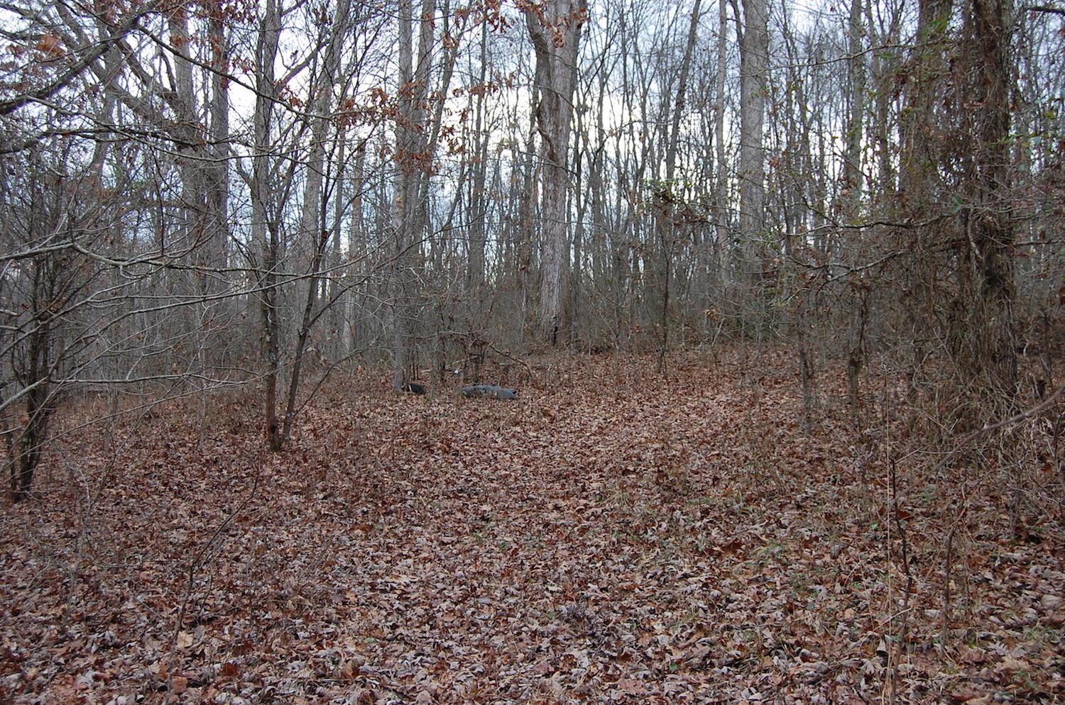 2998 Bobo Road Beaver, OH 45613 - Photo 16 of 43