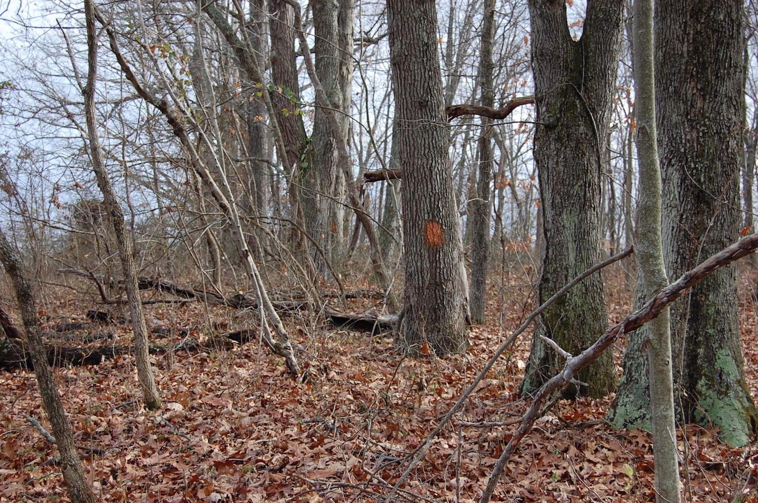 2998 Bobo Road Beaver, OH 45613 - Photo 18 of 43