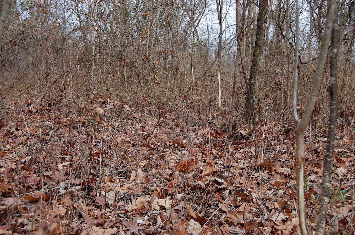 2998 Bobo Road Beaver, OH 45613 - Photo 19 of 43