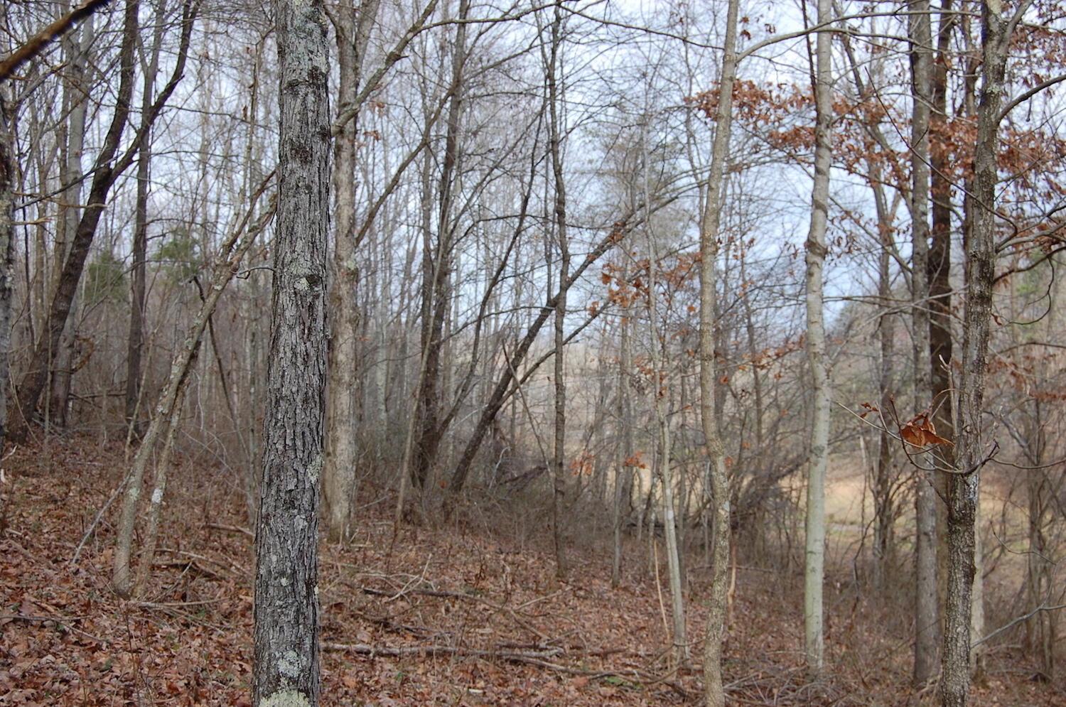 2998 Bobo Road Beaver, OH 45613 - Photo 25 of 43