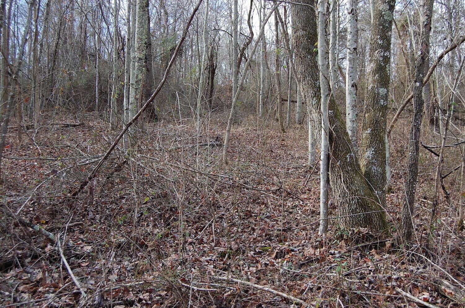 2998 Bobo Road Beaver, OH 45613 - Photo 27 of 43