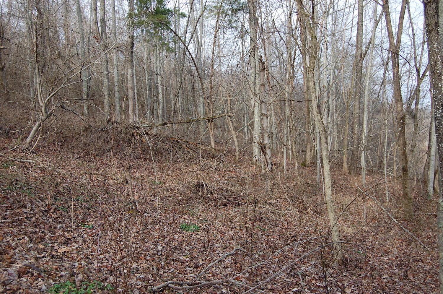 2998 Bobo Road Beaver, OH 45613 - Photo 28 of 43