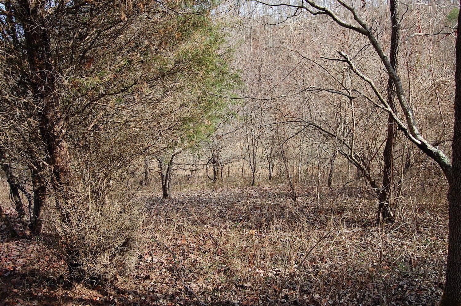 2998 Bobo Road Beaver, OH 45613 - Photo 32 of 43