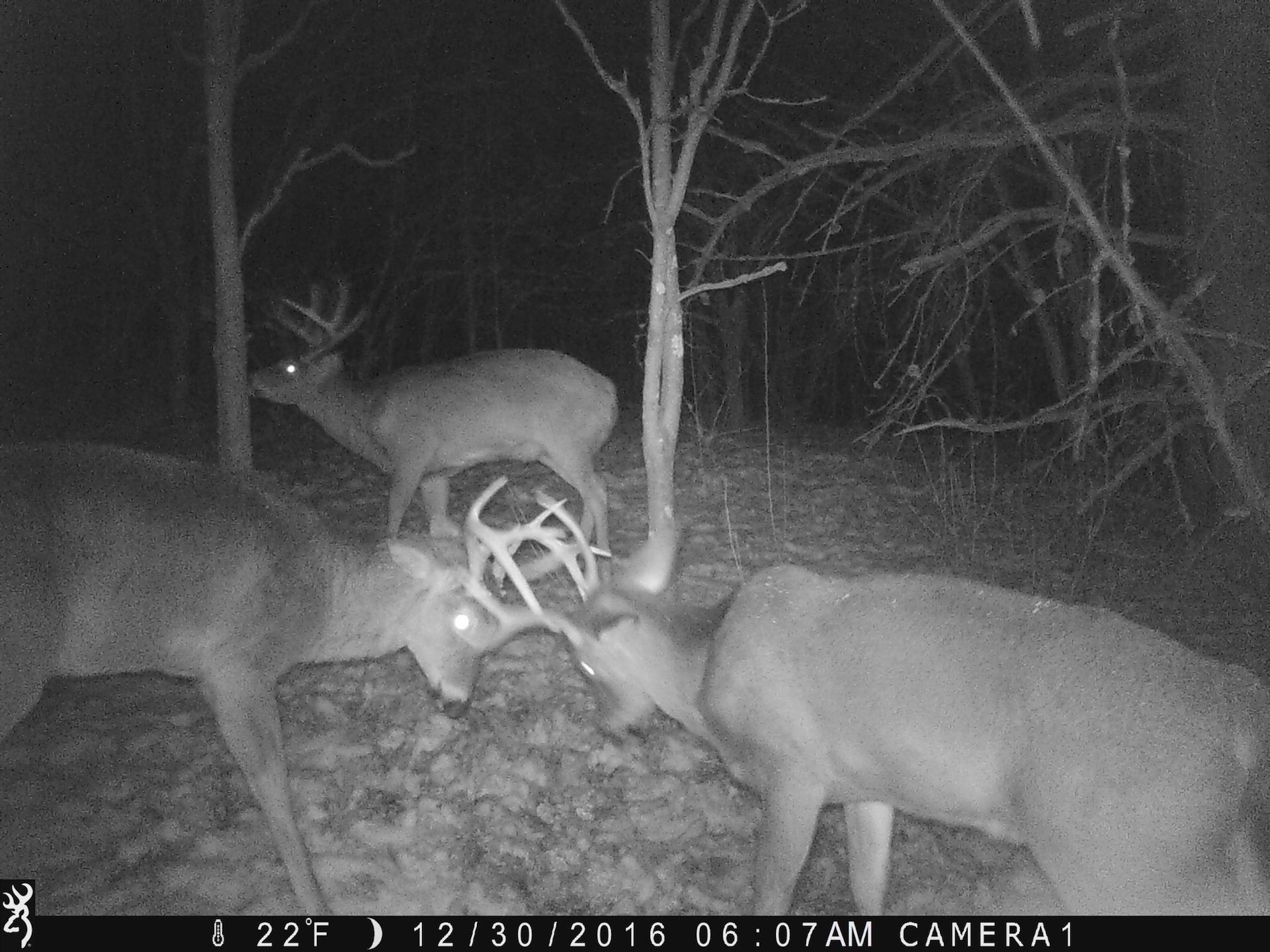 2998 Bobo Road Beaver, OH 45613 - Photo 39 of 43