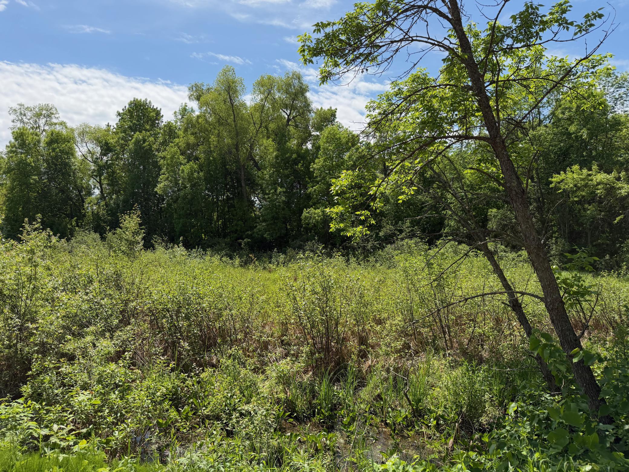Tbd White Fish Road Garrison, MN 56450 - Photo 10 of 11