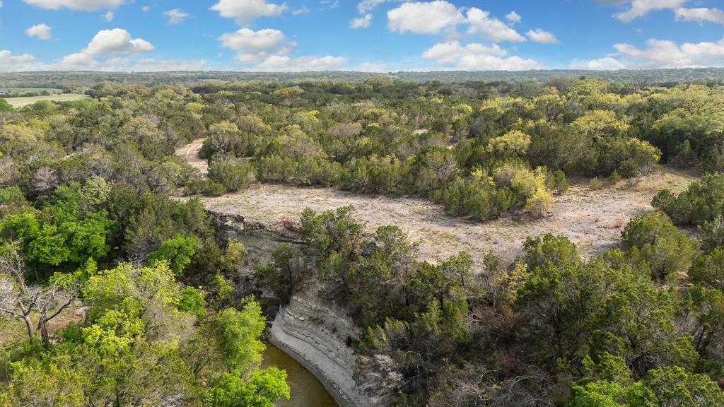 Drone / aerial view with a forest view