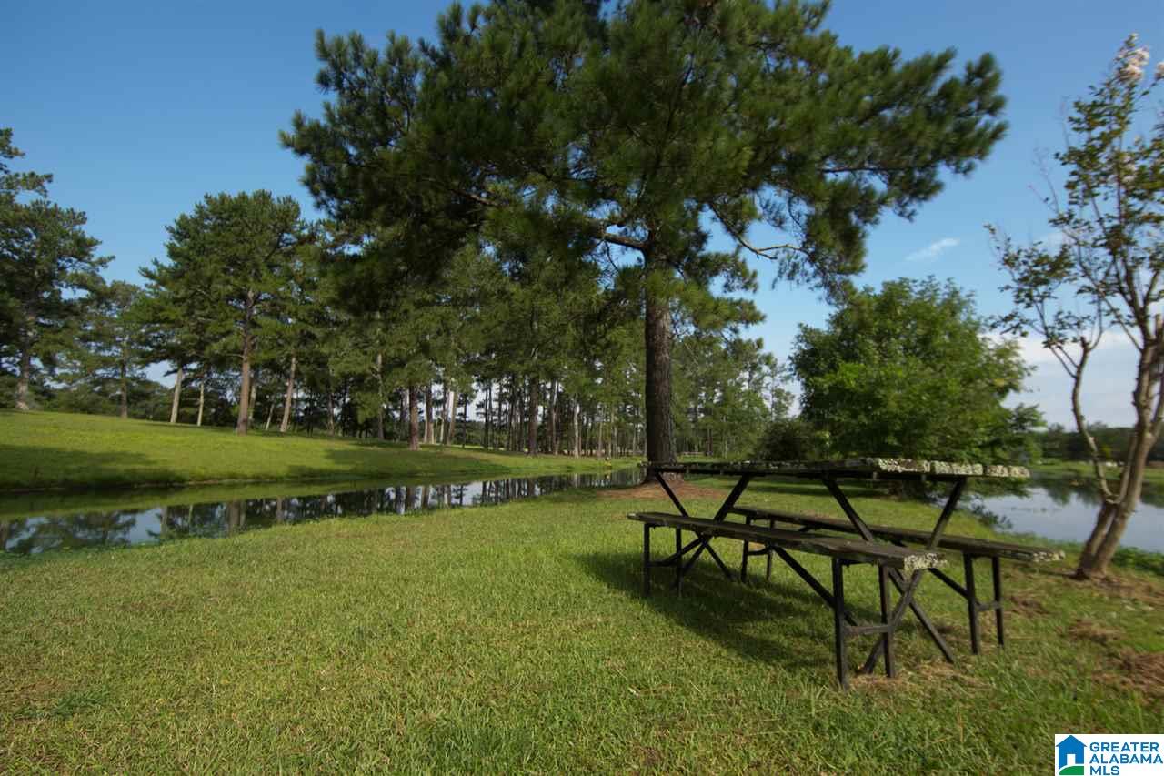 1366 Holland-Finley Road Jacksonville, AL 36265 - Photo 24 of 33