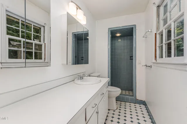a bathroom with a sink and a toilet