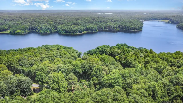 an aerial view of residential houses with outdoor space and trees