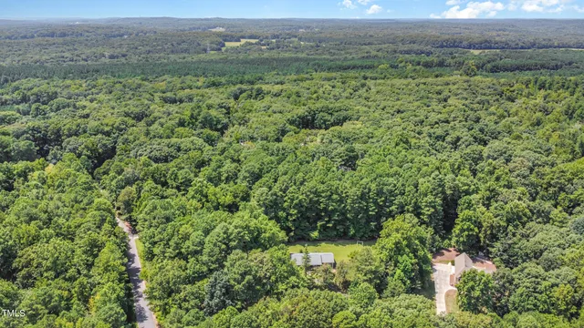 an aerial view of mountain with trees