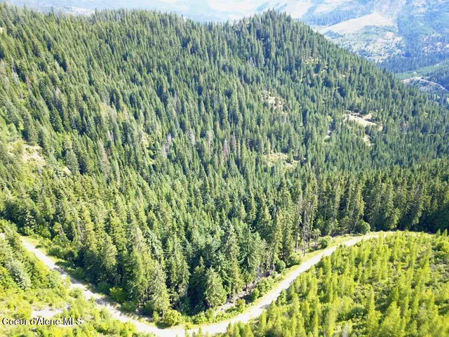 $95,000 | 10-ac South Latour Creek Road, Cataldo, ID 83810